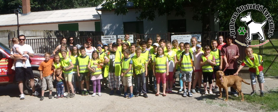 állatmenhelyek listája, kutyák, cicák kutya macskák állatmenhely örökbefogadása adóbevalláskor adó 1 százalék