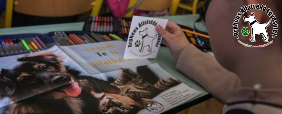 állatvédő alapítványok, állatvédelem állatmenhely macskamentés adóbevalláskor 1 százalékkal